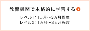 教育機関で本格的に学習する